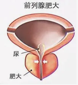 1669423941161906.png 微信截图_20221126085220.png