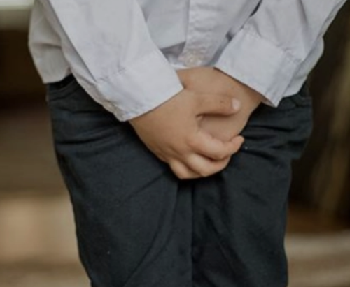 1675988953131448.png 微信截图_20230210082914.png